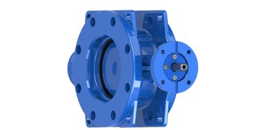 AWWA C504 150PSI डबल एक्सेन्ट्रिक बटरफ्लाई वाल्व
